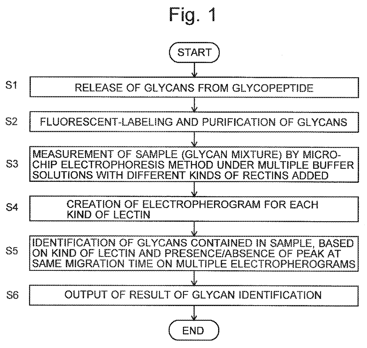 Glycan analysis method, glycan analysis system, program for glycan analysis, and kit for glycan analysis