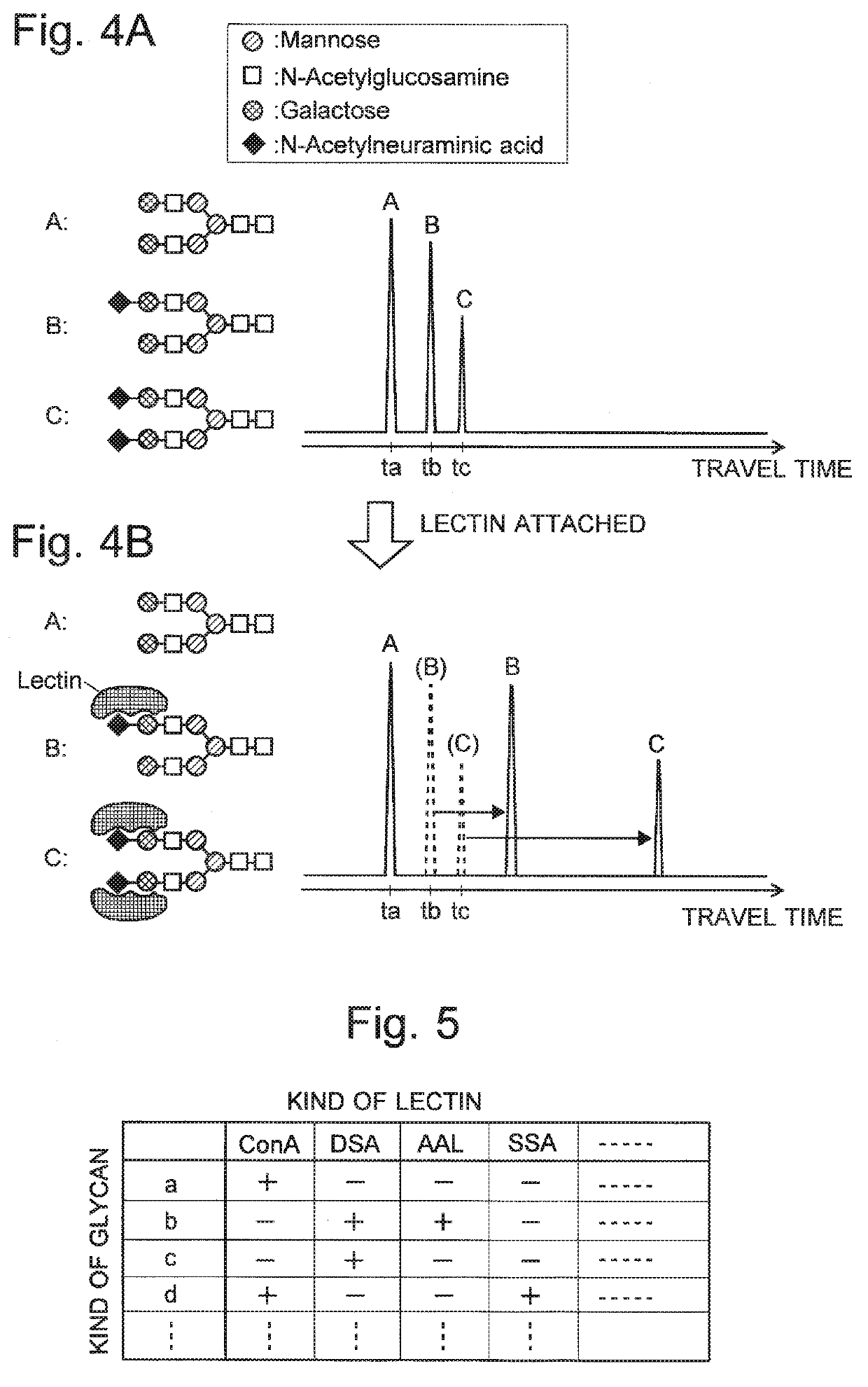 Glycan analysis method, glycan analysis system, program for glycan analysis, and kit for glycan analysis