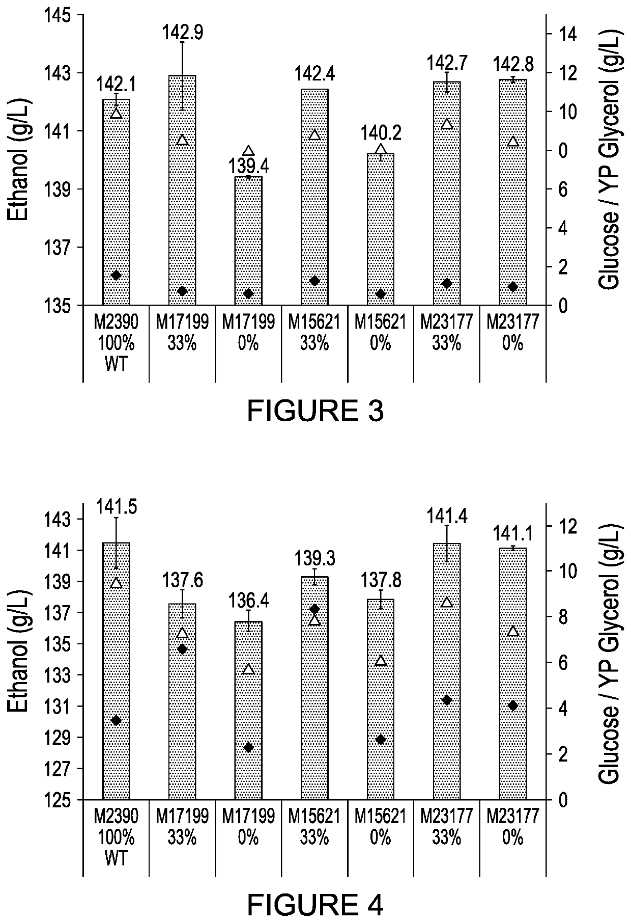 Yeast expressing heterologous glucoamylase