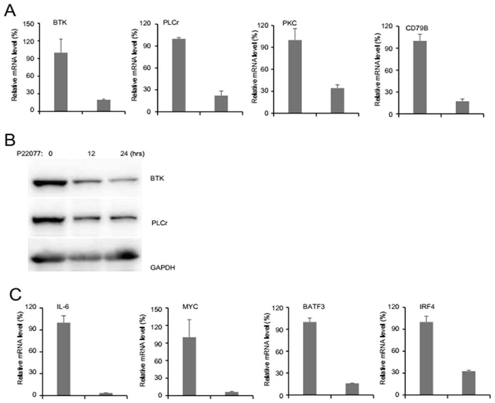 Application of USP7 inhibitor in medicine for treating ABC-DLBCL