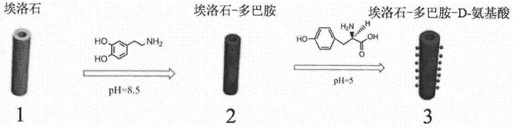 Membrane modification method for controlling membrane pollution