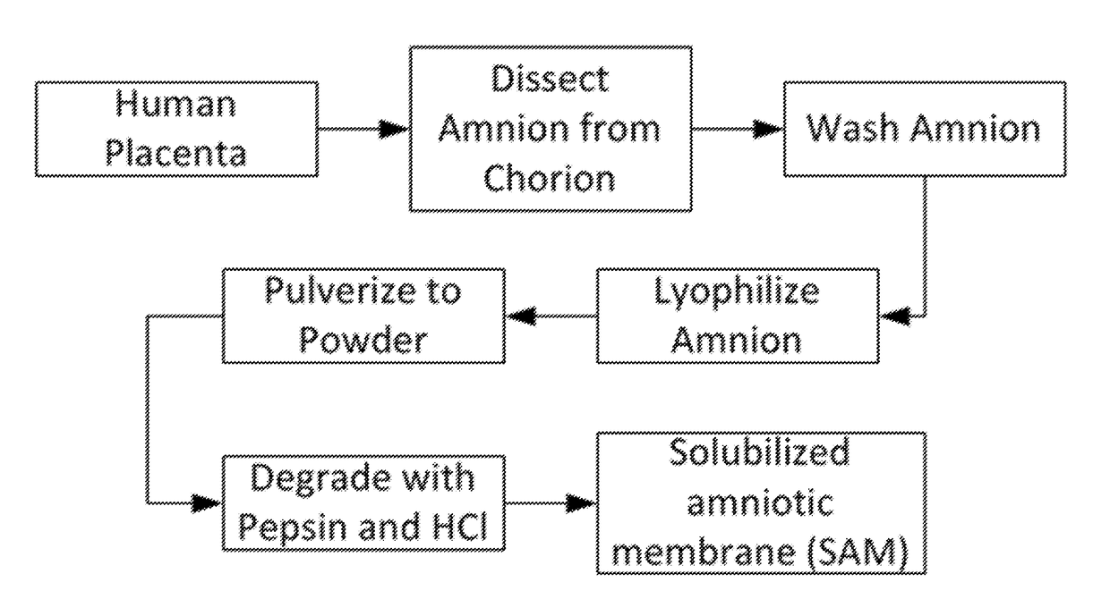 Amniotic membrane hydrogel and methods of making