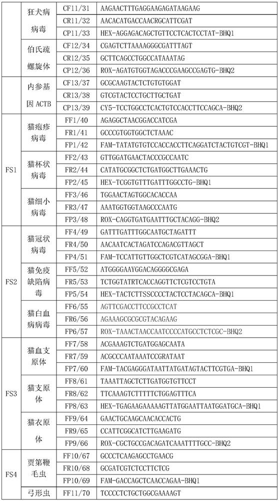 PCR (Polymerase Chain Reaction) detection kit for cat and/or dog pathogens, detection method and application