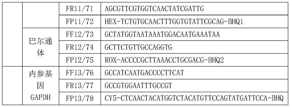 PCR (Polymerase Chain Reaction) detection kit for cat and/or dog pathogens, detection method and application