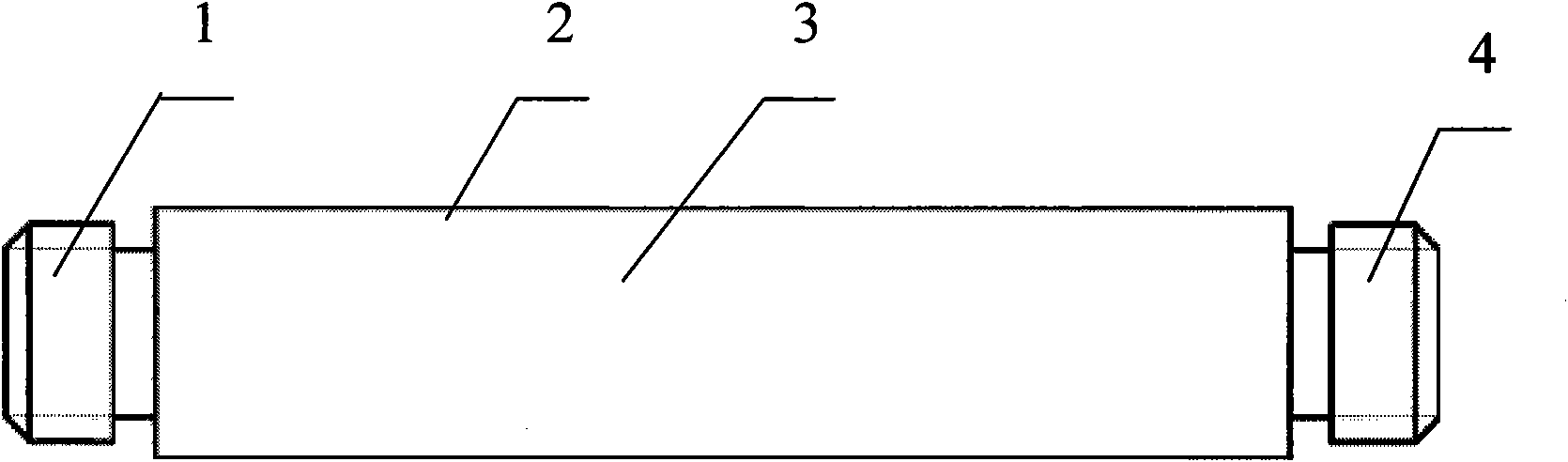 Bidirectional protecting oil pump plunger and hot spray processing technique for surface of same