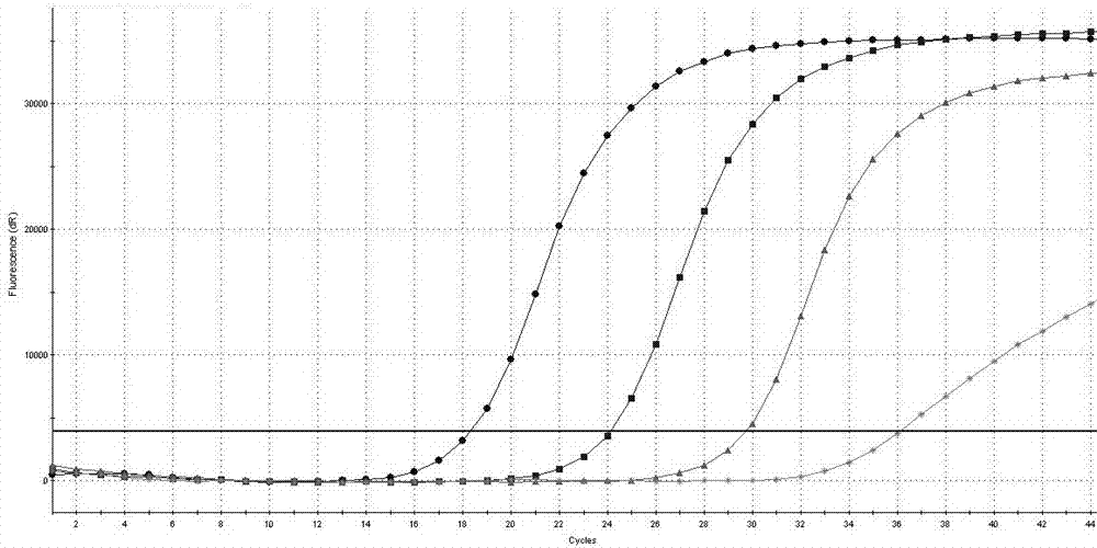 Primer pairs and probes for detecting AIDS treatment drug ddi and tdf resistance mutation sites and their application