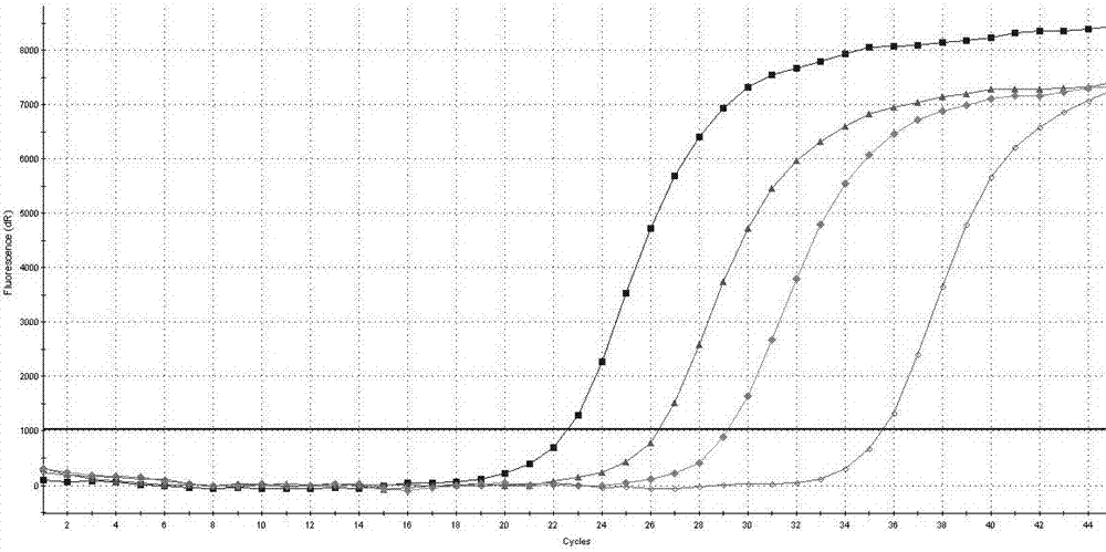 Primer pairs and probes for detecting AIDS treatment drug ddi and tdf resistance mutation sites and their application