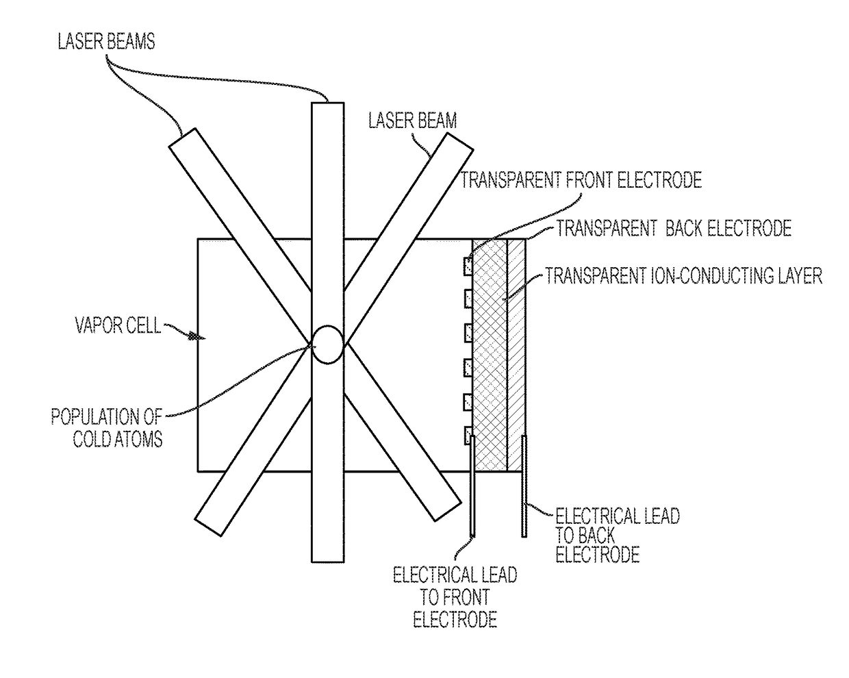 Vapor cells with transparent alkali source and/or sink