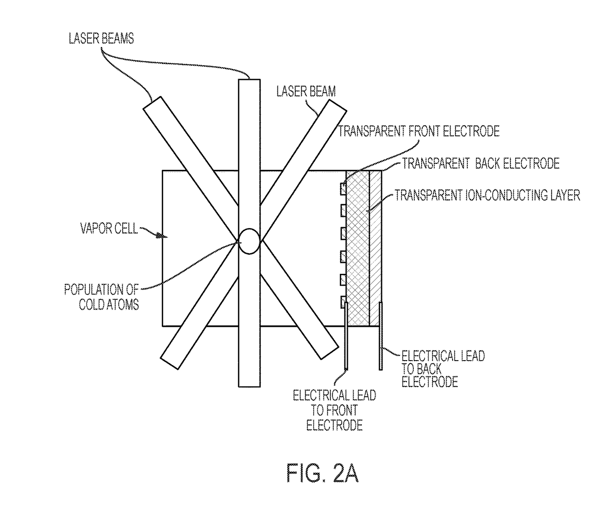 Vapor cells with transparent alkali source and/or sink