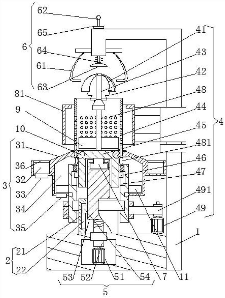 Watermelon juicing device and method for juicing watermelon juice