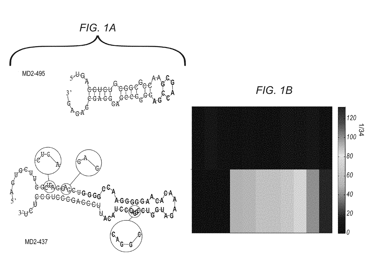 Mirna expression signature in the classification of thyroid tumors