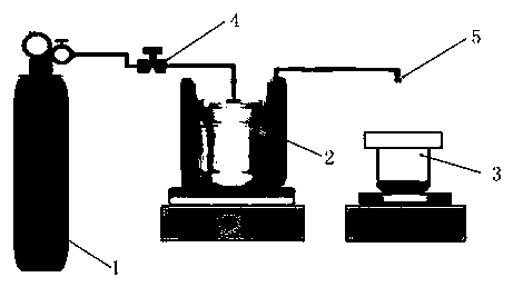 Preparation method for forming magnetite nanoparticles in cellulose acetate membrane