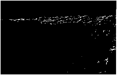 Preparation method for forming magnetite nanoparticles in cellulose acetate membrane