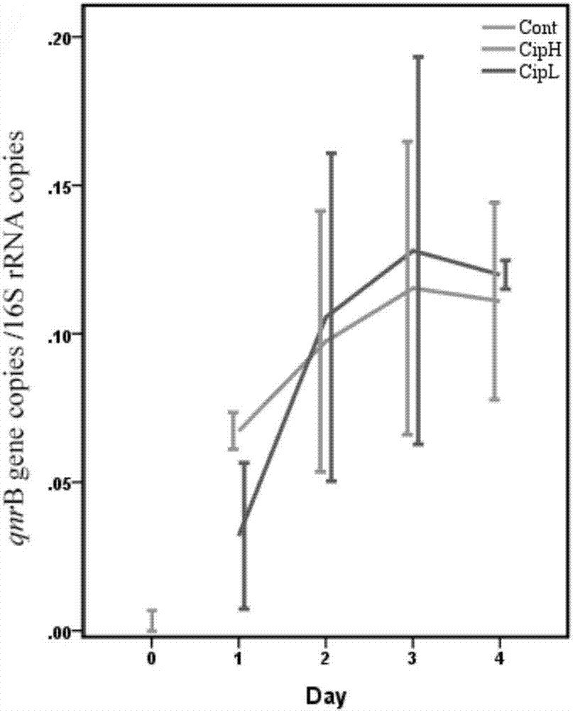 Quantitative detection method of resistance genes of intestinal bacterial antibiotics