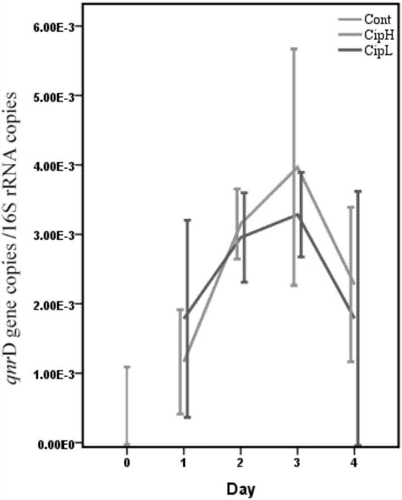 Quantitative detection method of resistance genes of intestinal bacterial antibiotics