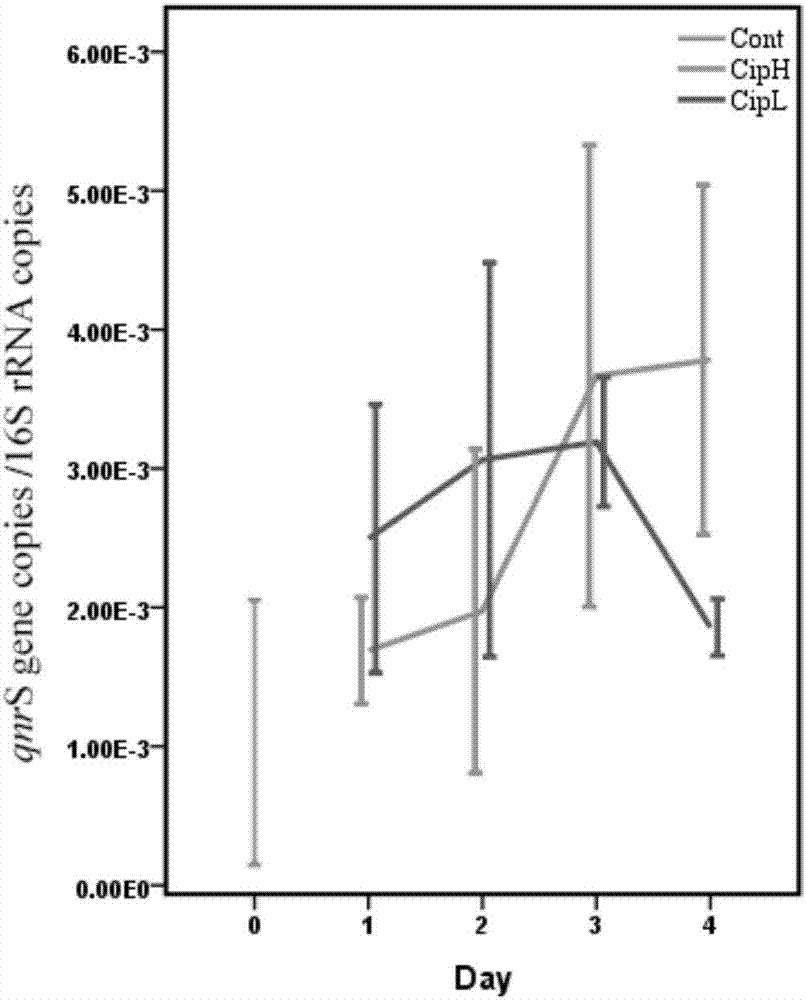 Quantitative detection method of resistance genes of intestinal bacterial antibiotics