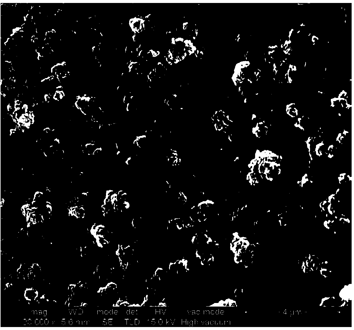 Method for preparing super-hydrophobic membrane layer on surface of magnesium alloy through one-step method as well as alloy and application of uper-hydrophobic membrane layer