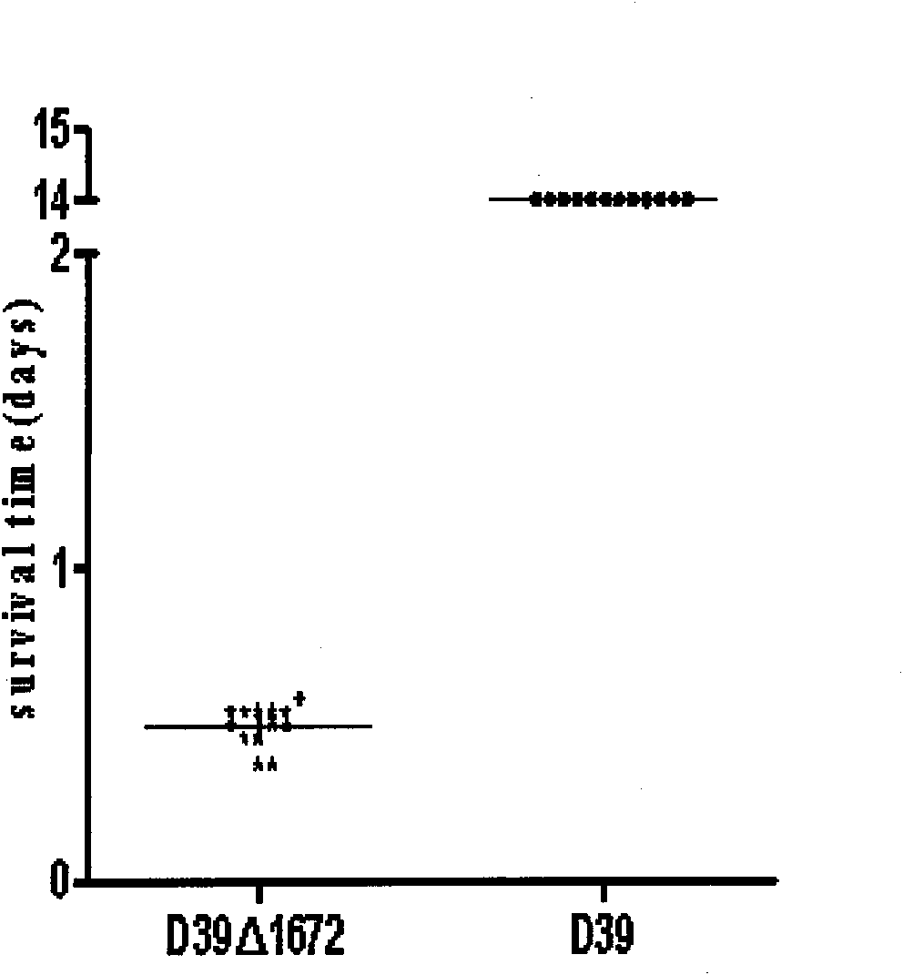 Streptococcus-pneumoniae-toxicity-reducing live vaccine