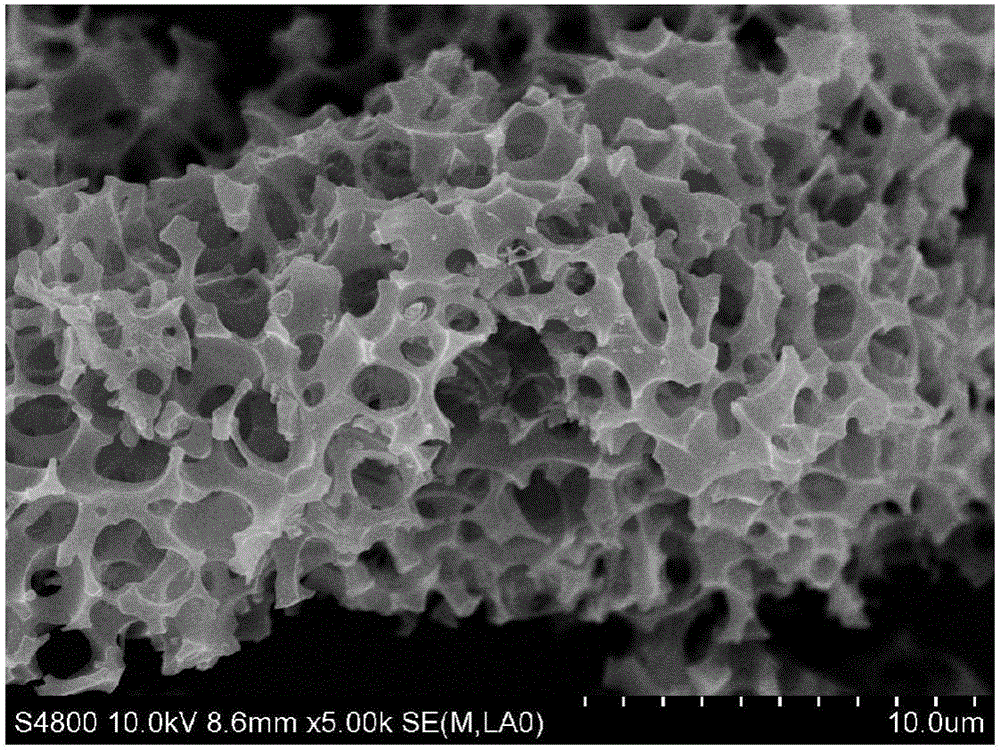 Biomass-based nitrogen-doped porous carbon material, and preparation method and application thereof