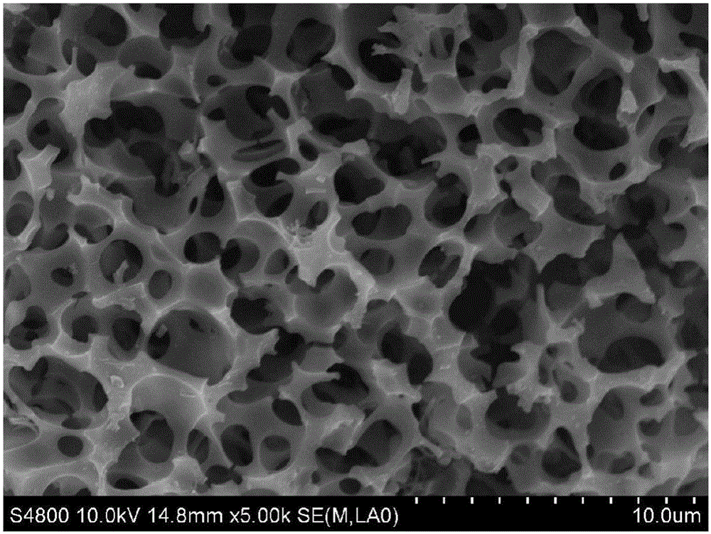 Biomass-based nitrogen-doped porous carbon material, and preparation method and application thereof