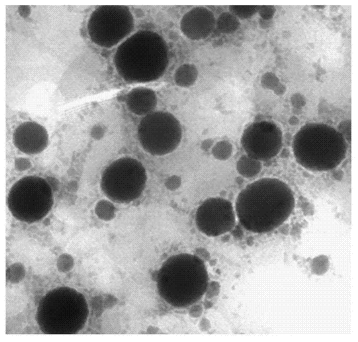 Curcumin and piperine carried solid lipid nanoparticles and preparation method thereof