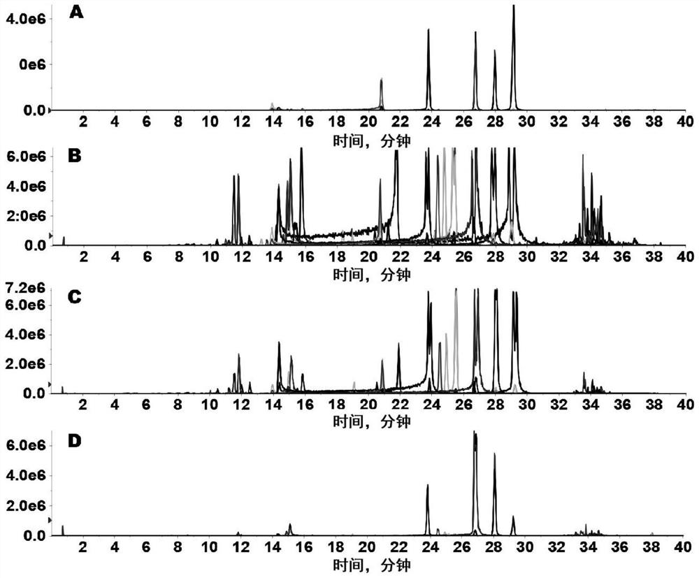 Method for identifying turmeric varieties by applying wide targeted metabonomics technology