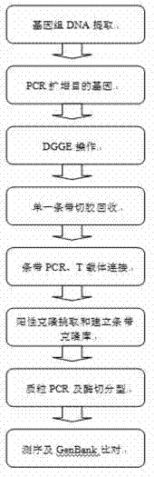 Method for analyzing microbial community structure of fermented grain