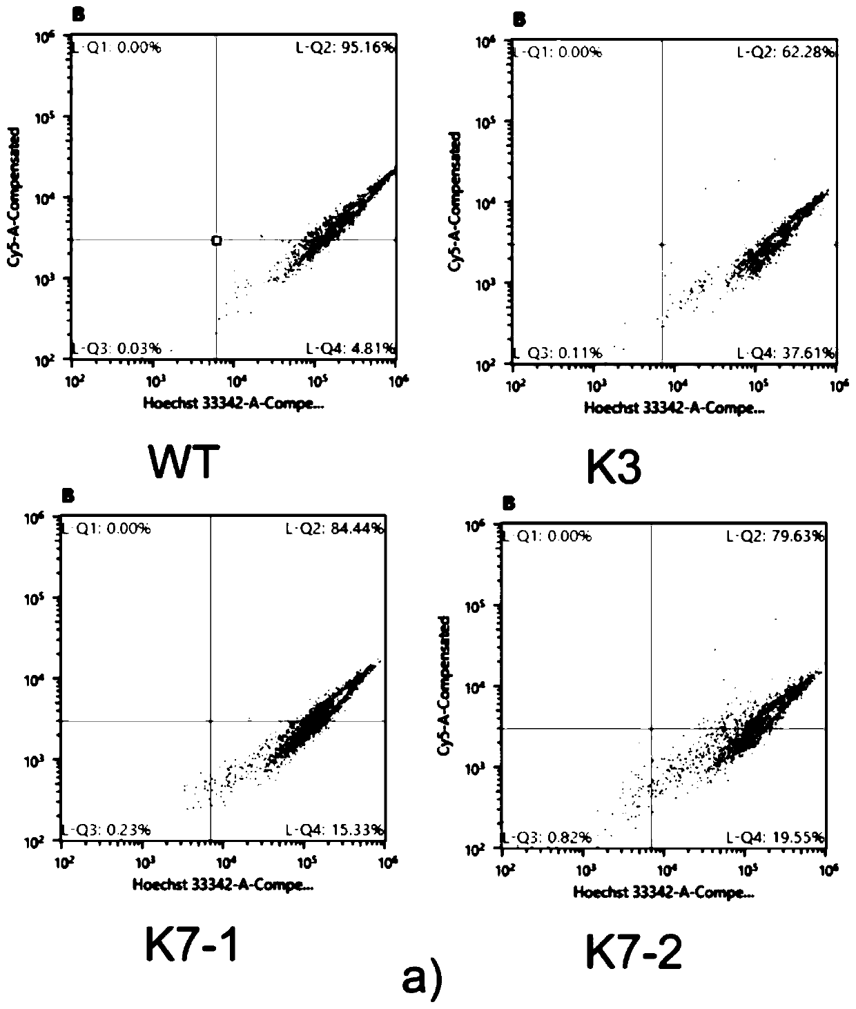 A method for knocking out the kdm2a gene of HEK293T cells using CRISPR-Cas9 technology