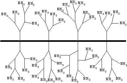 Method for enriching and separating helicobacter pylori