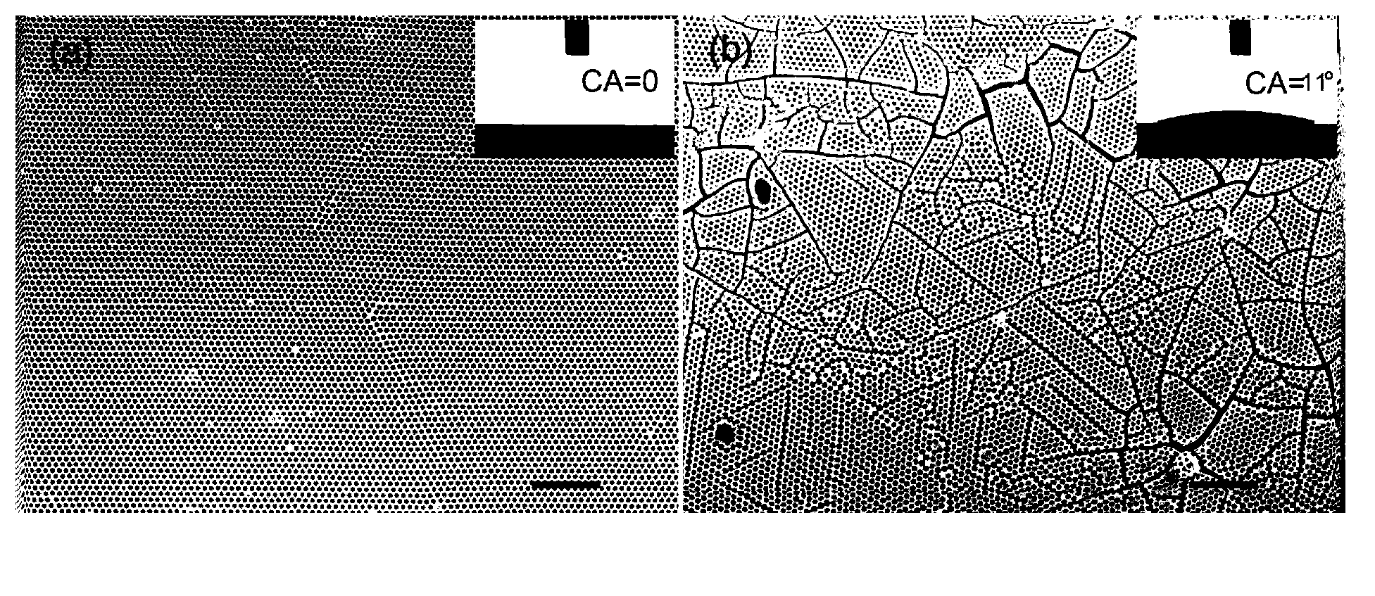 Preparation method for oxide micro/nano-structured ordered porous array through oxygen-plasma irradiation