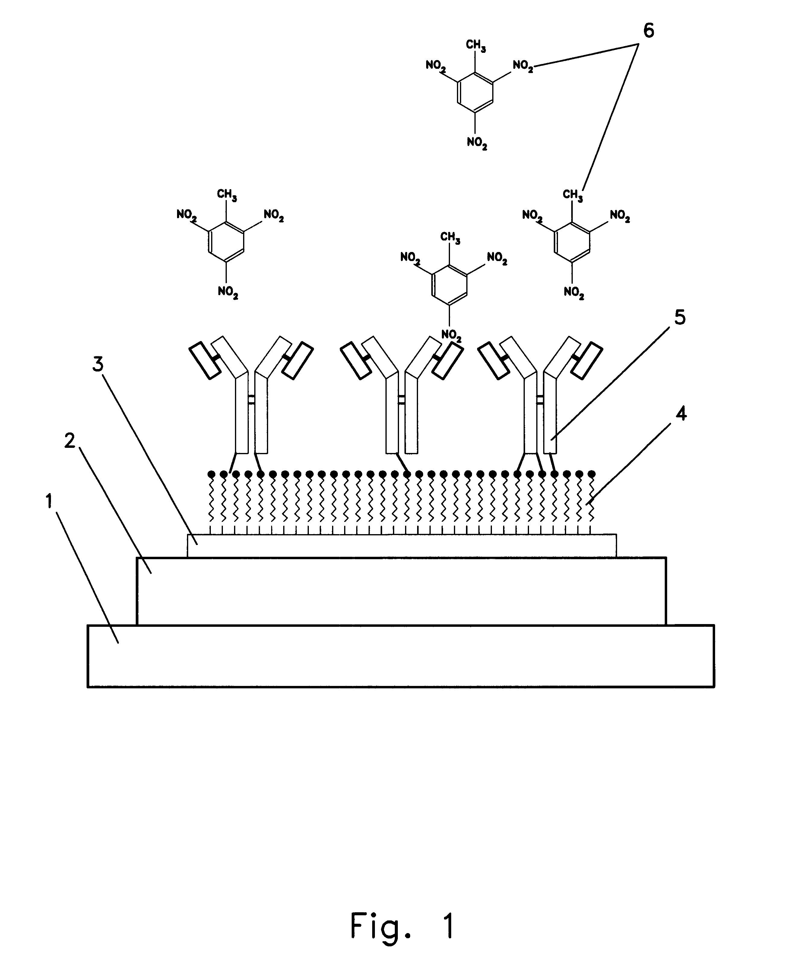 Immunochemical detection of an explosive substance in the gas phase through surface plasmon resonance spectroscopy