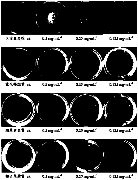 Application and separation and purification method of monomer compound in wisteria tumor