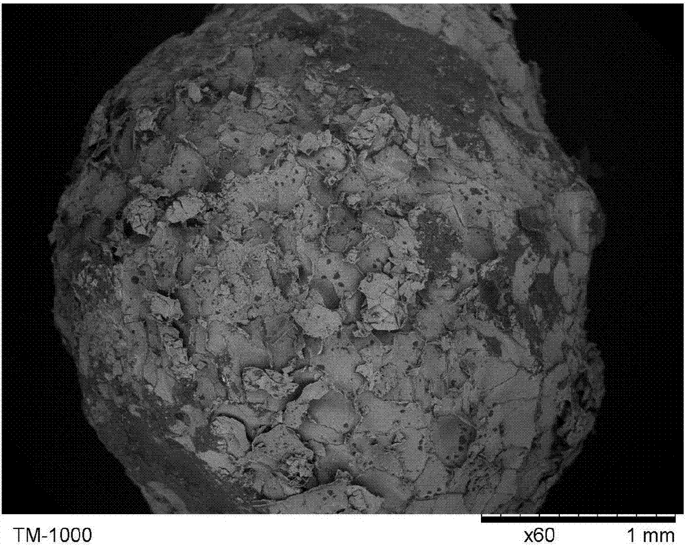 Cadmium ion adsorbent and preparation method and application thereof