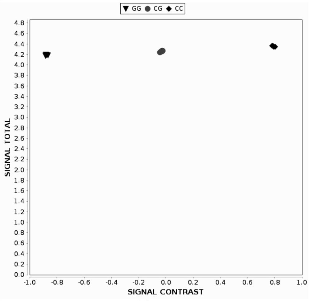 Four kinds of single nucleotide polymorphism-based molecular markers of muskmelon blight resistance and their application