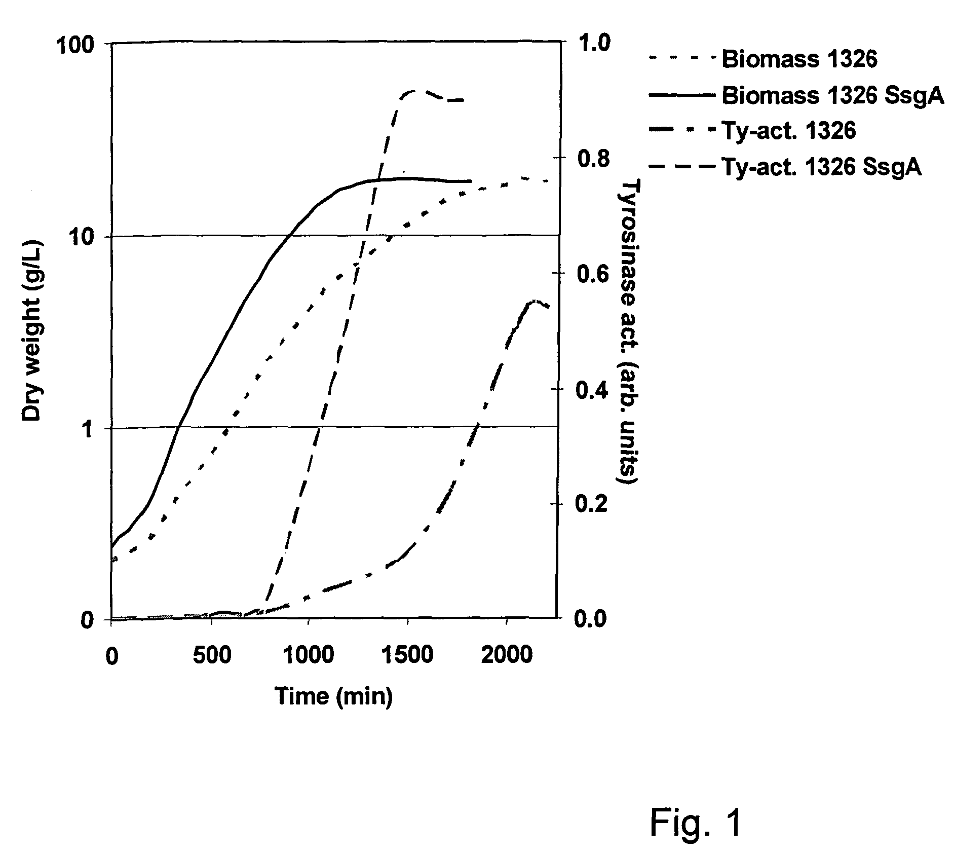 Growth characteristics of filamentous microorganisms