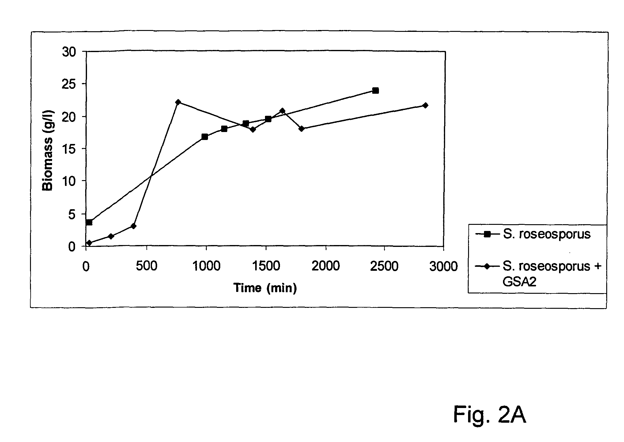 Growth characteristics of filamentous microorganisms