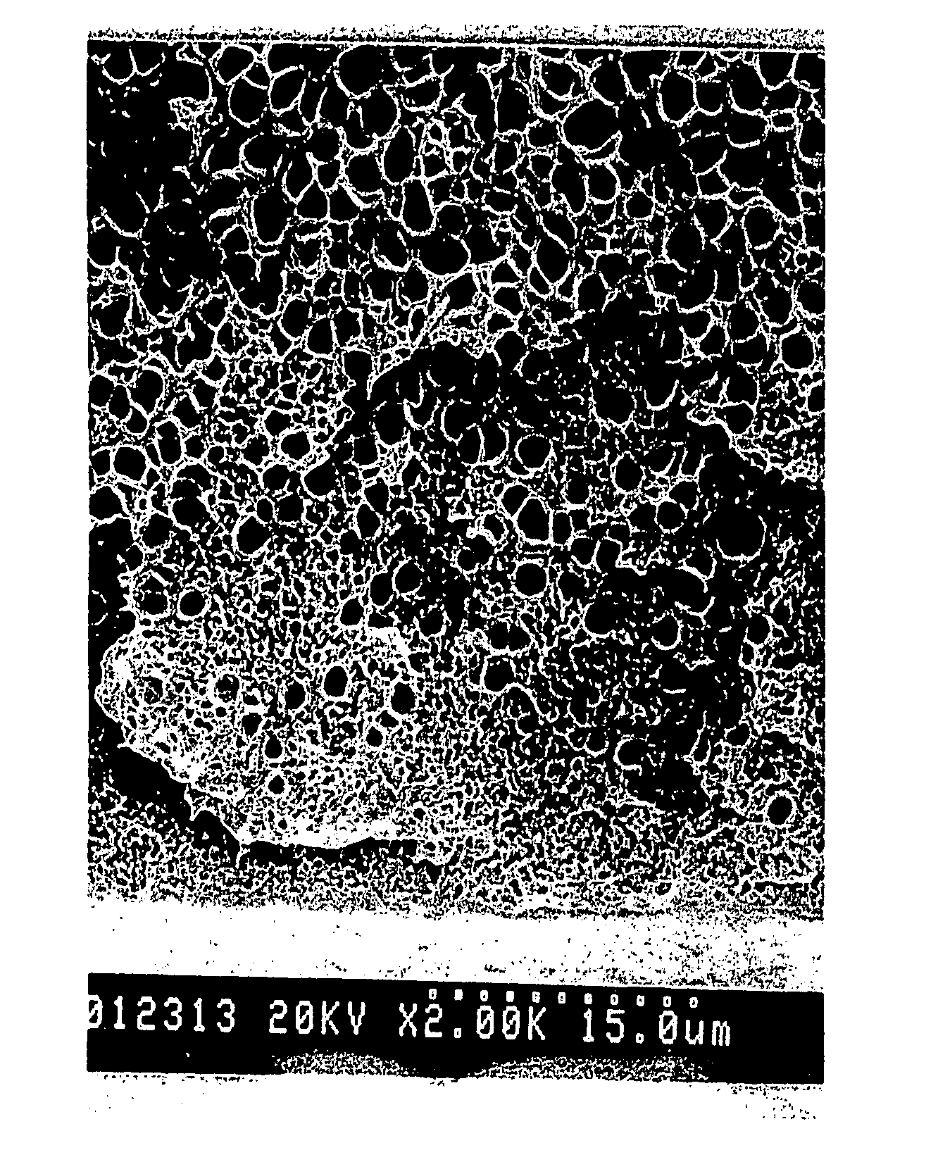 Polyolefin microporous membrane