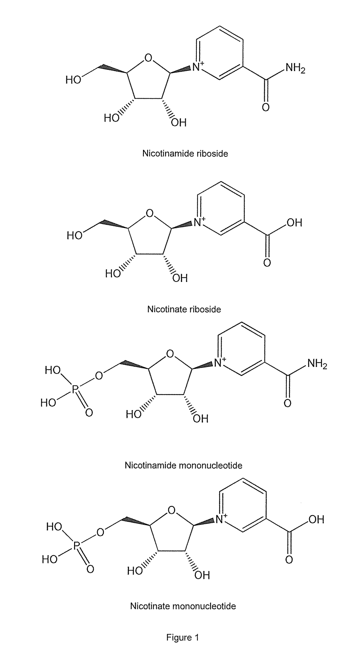 Methods of preparing nicotinamide riboside and derivatives thereof