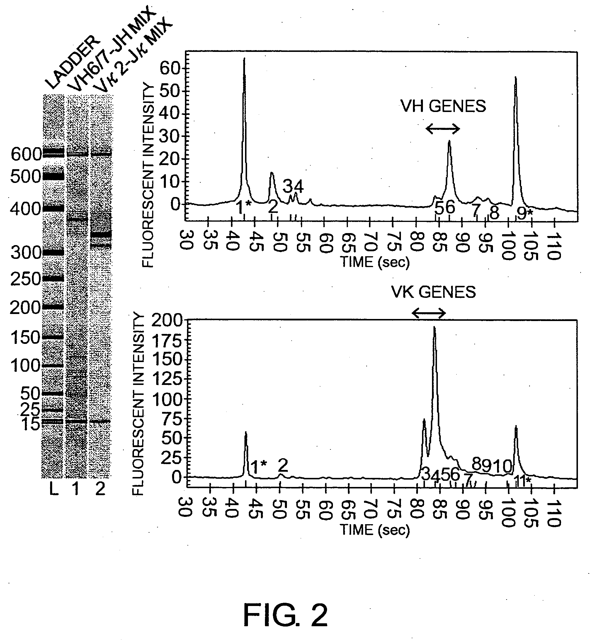 Antibodies against lesion tissue