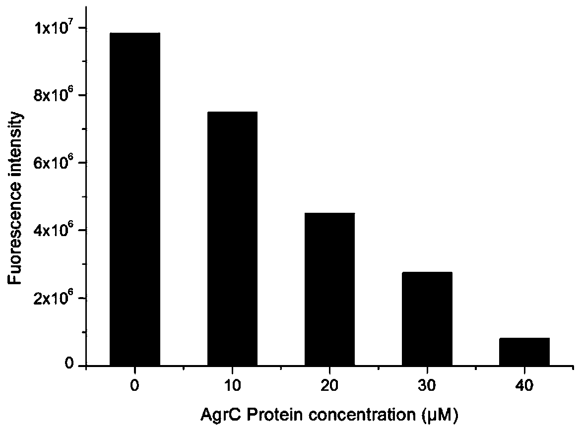 A drug screening model targeting the histidine kinase Agrc