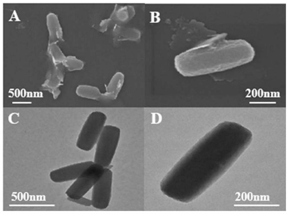 Application of nano-enzyme electrode in detecting o-dihydroxybenzene