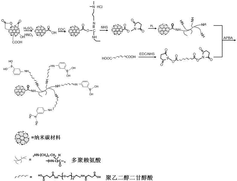 Aminophenylboronic acid surface-modified nano-carbon material, as well as preparation method and application thereof