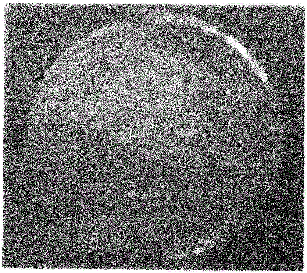 Composition for preventing adhesion, containing surface-modified chondrocyte-derived extracellular matrix membrane as active ingredient