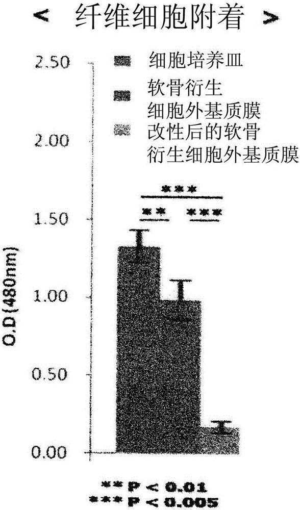 Composition for preventing adhesion, containing surface-modified chondrocyte-derived extracellular matrix membrane as active ingredient