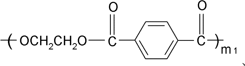 Polyester-polyamide copolymer and synthetic preparation method thereof