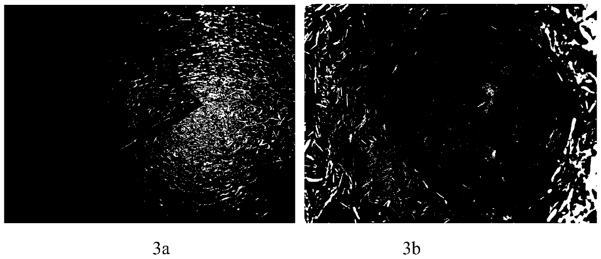 Preparation method of biomass composite material and application thereof