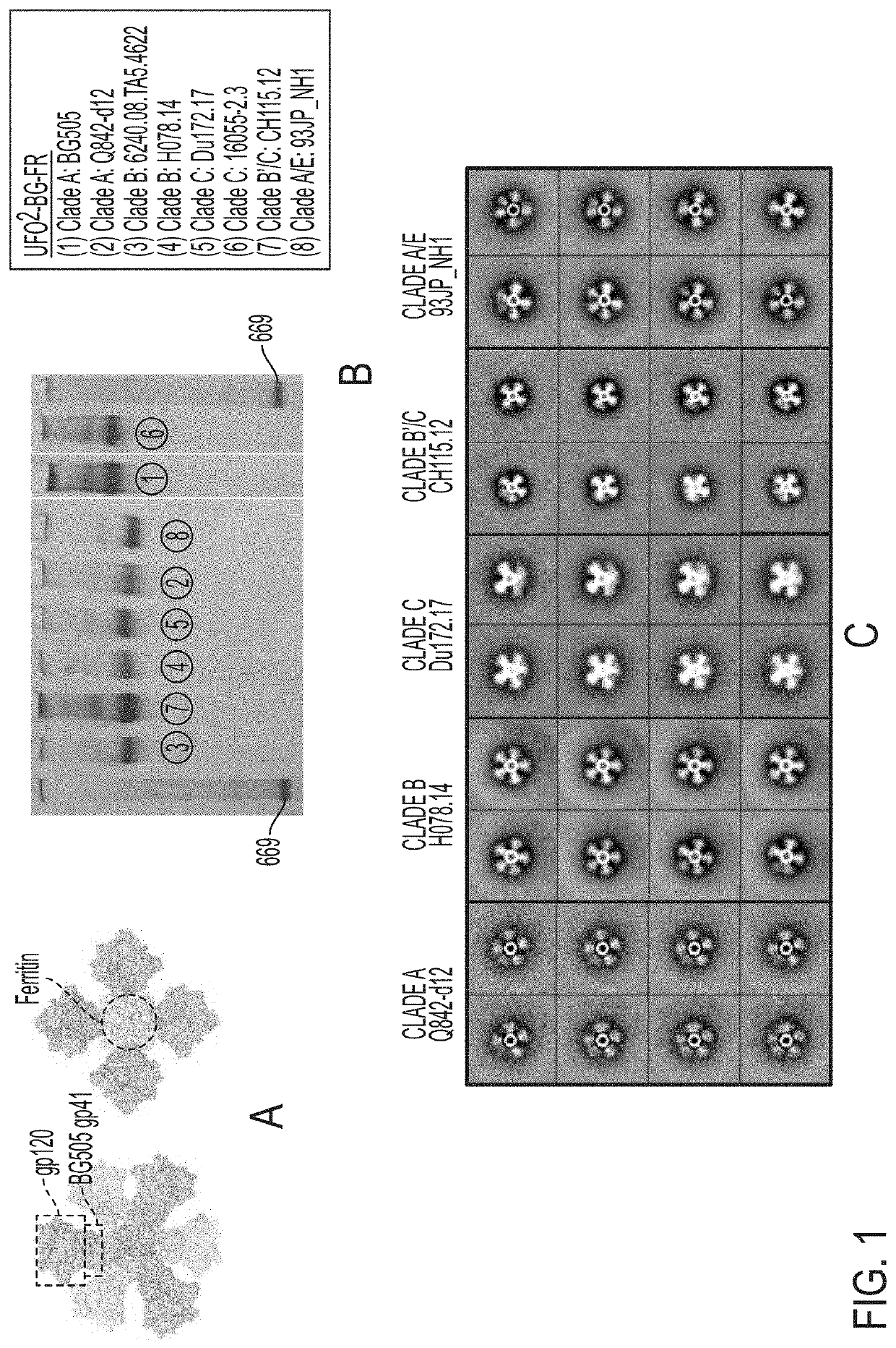 Novel Scaffolded HIV-1 Vaccine Immunogens