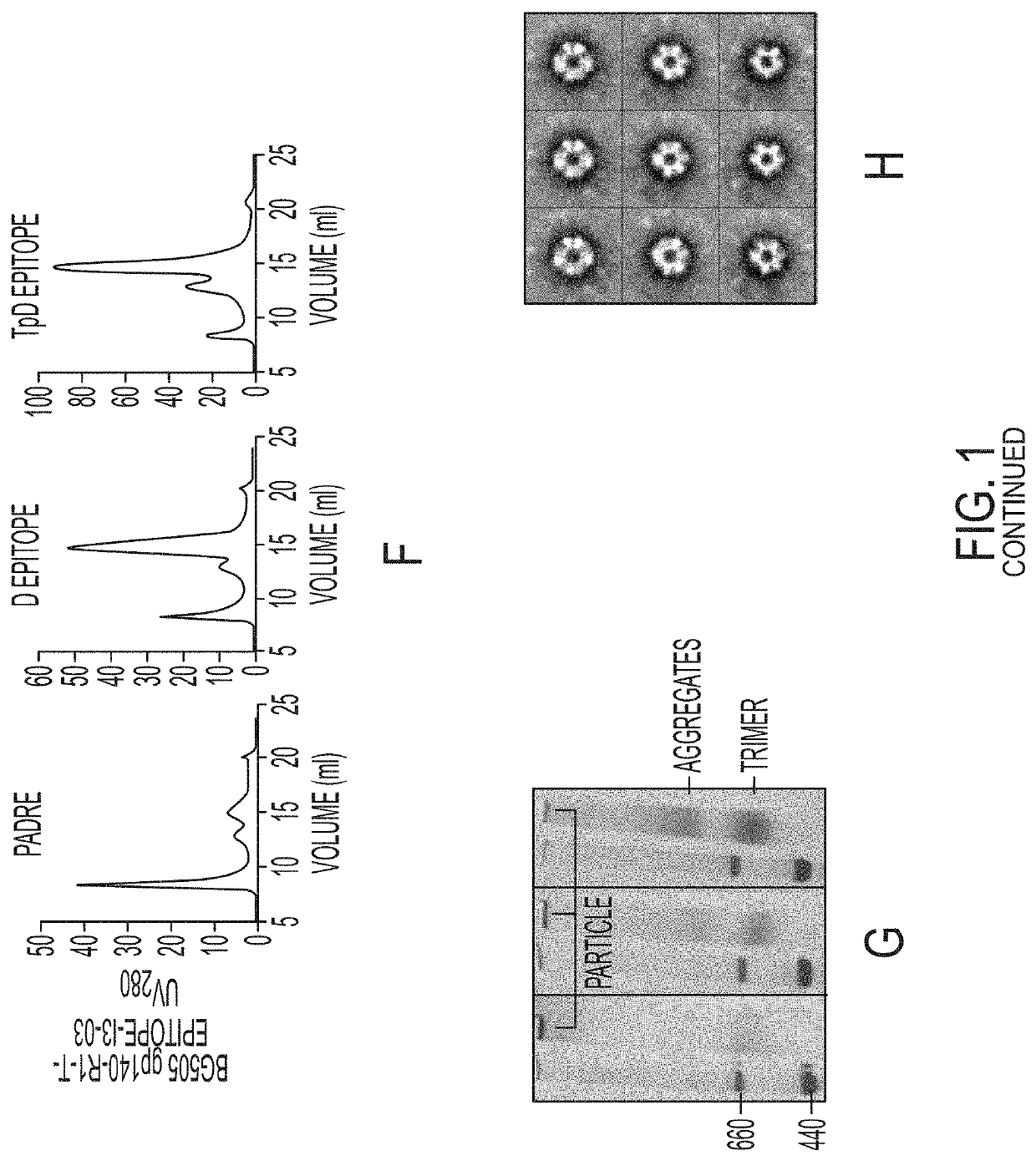 Novel Scaffolded HIV-1 Vaccine Immunogens