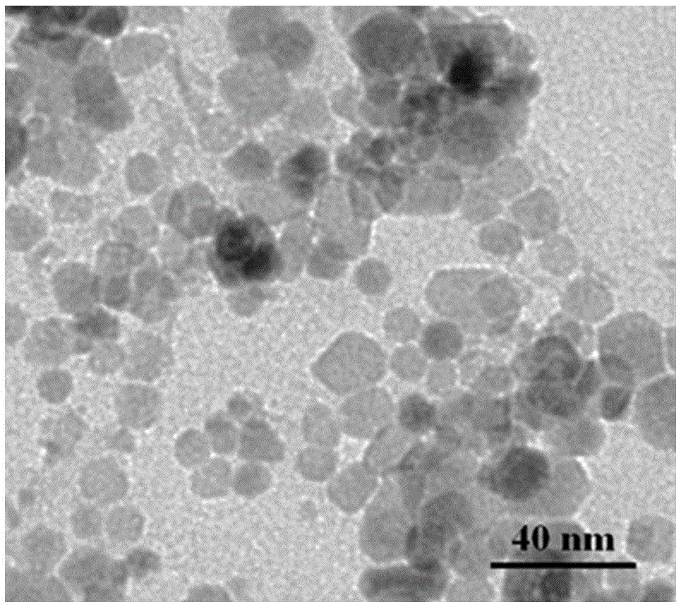 Reduced graphene oxide and nano cerium oxide composite microwave absorbing material and preparation method thereof