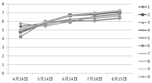 A method for high-efficiency large-scale cultivation of Houttuynia cordata